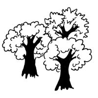 П. сторона, урок 3 Деревья